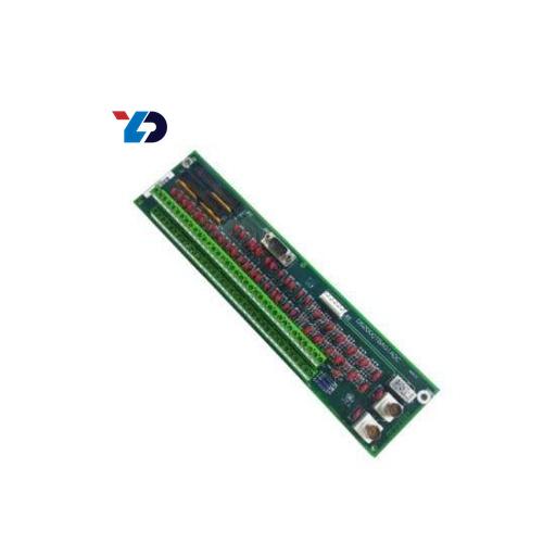 Electric DS200QTBAG1A Software Termination Module, Control Systems