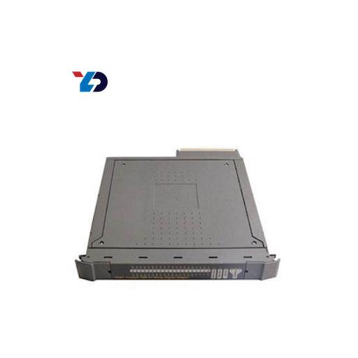 TRIPLEX T8231 – Reliable Industrial Control Module