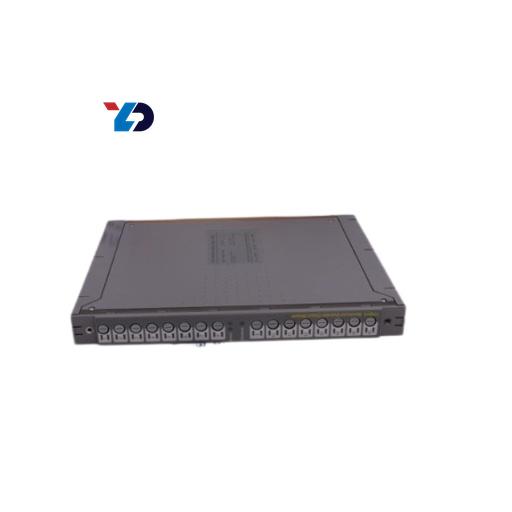 Triplex TC200 – Reliable Control Module for Industrial Automation