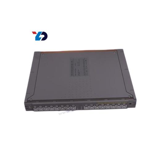 TRIPLEX Analog Input Module T8431C – PLC for Industrial Control Systems